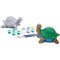 Bright Creations Turtle Rock Painting Kit with 12 Paint Pods, 2 Paint Brushes, and 2 Turtles (2 Sets, 16 Pieces)